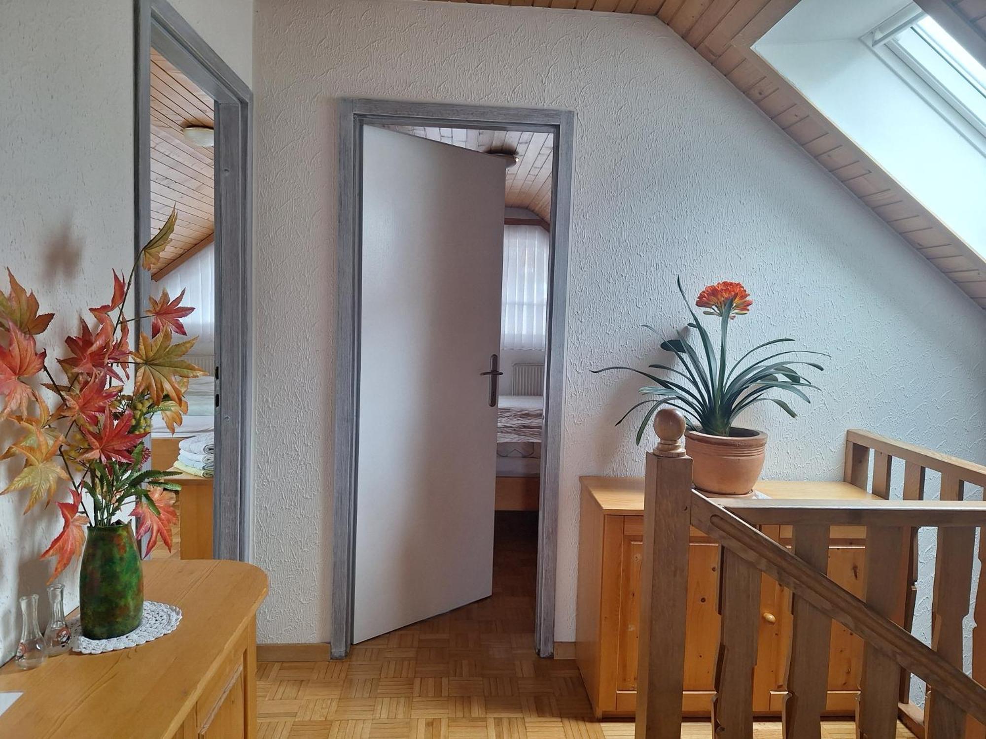 Apartmaji Marinka Hodnik Bohinj Eksteriør bilde